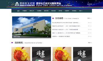 滨州市文化馆数字文化馆项目